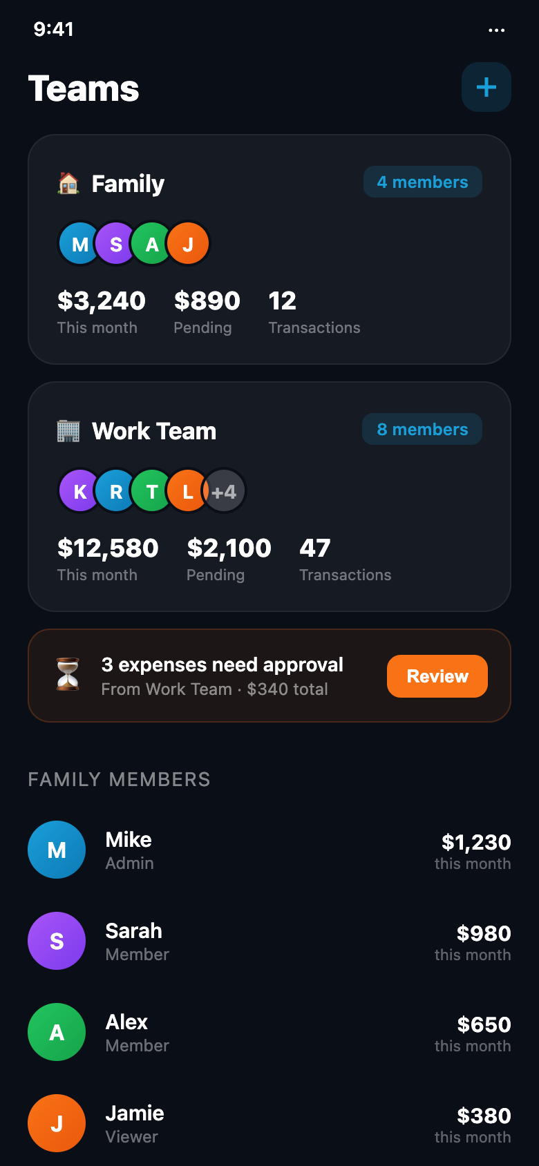 Team expense sharing